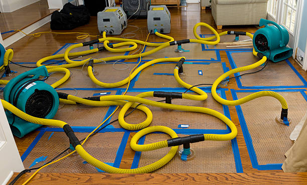 Professional Storm Water Damage Restoration technician working in Marshall, TX